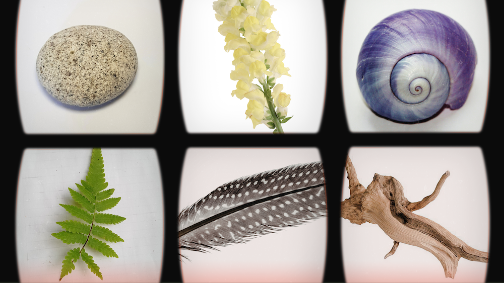 Natural objects as a prism for feelings - a reflection on Climate Cafe Listening Circles (Climate Crisis Digest May) 