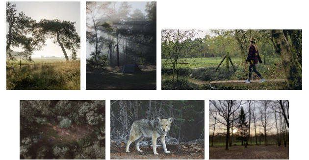 Screenshot 2026 02 10 at 16.44.12