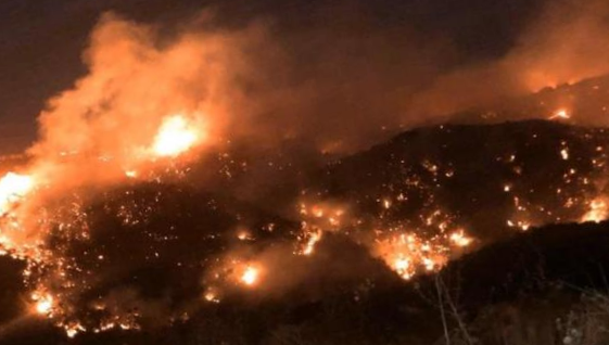 Wildfires in lebanon 2019