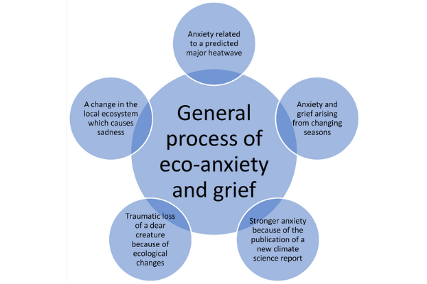 The Process of Eco-Anxiety and Ecological Grief
